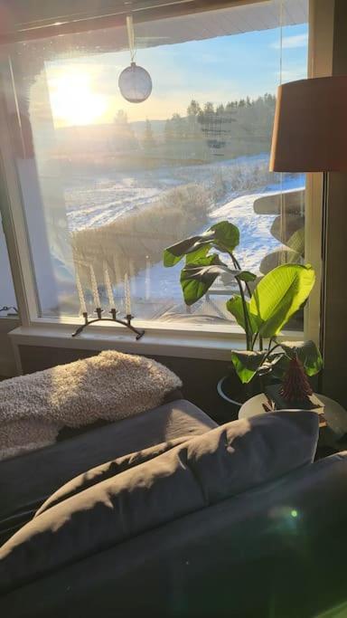Skogro Ved Norefjell *